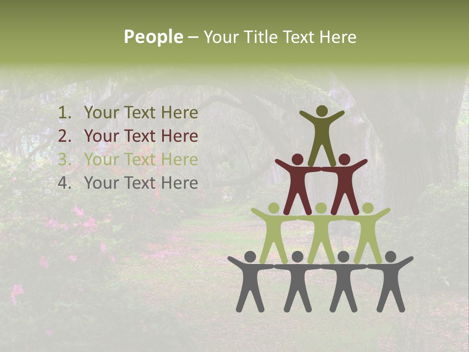 Spring Landscape Scene In Woods Of Charleston, South Carolina PowerPoint Template