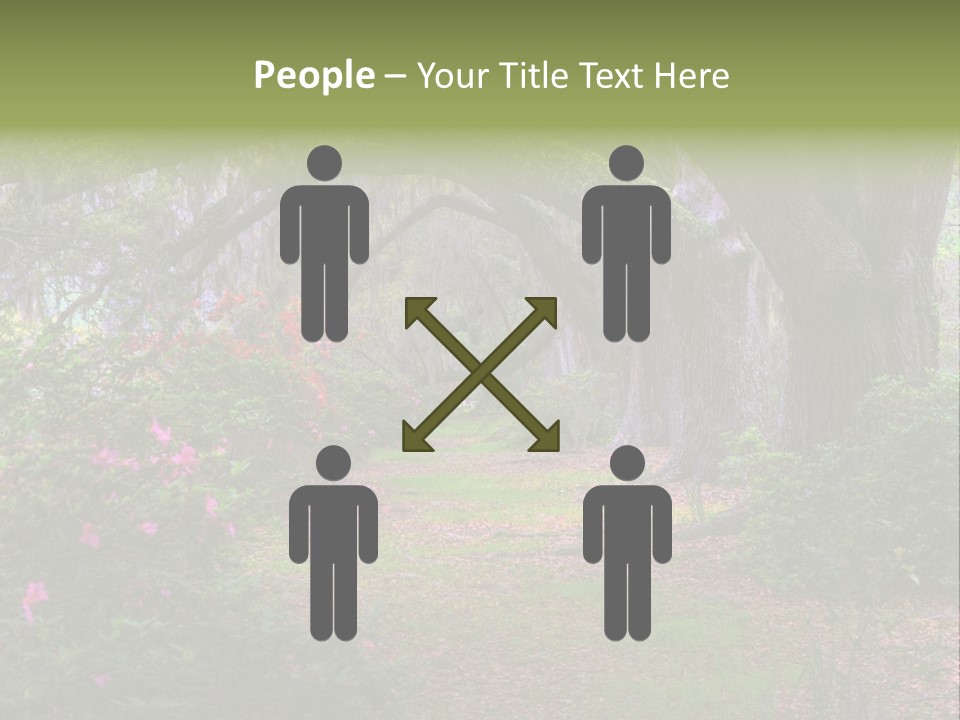 Spring Landscape Scene In Woods Of Charleston, South Carolina PowerPoint Template