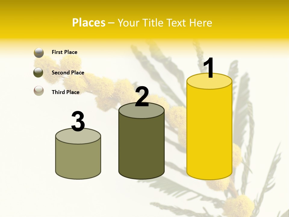 Yellow Mimosa Flowers On White PowerPoint Template