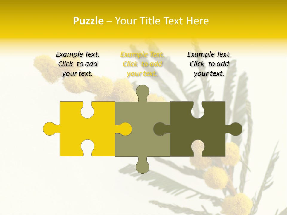 Yellow Mimosa Flowers On White PowerPoint Template