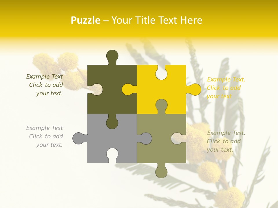 Yellow Mimosa Flowers On White PowerPoint Template