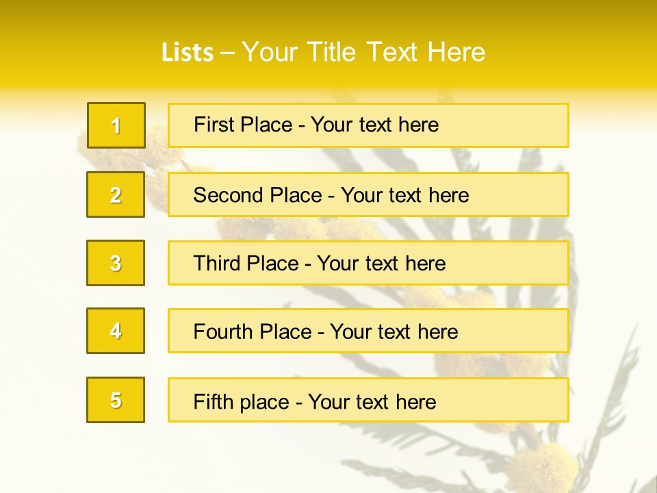 Yellow Mimosa Flowers On White PowerPoint Template