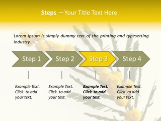Yellow Mimosa Flowers On White PowerPoint Template
