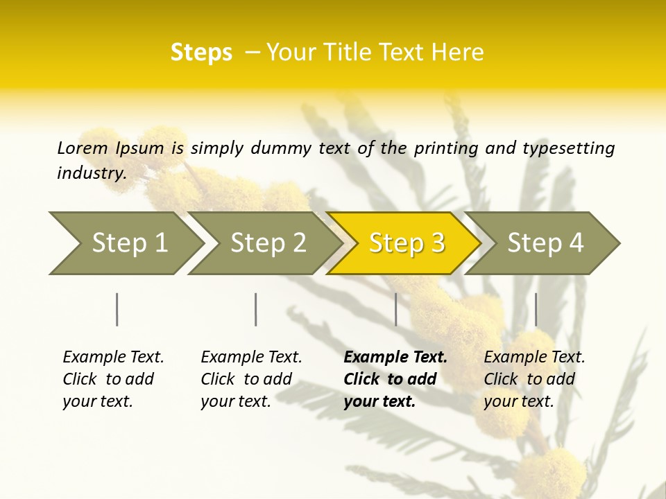 Yellow Mimosa Flowers On White PowerPoint Template