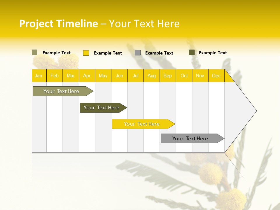 Yellow Mimosa Flowers On White PowerPoint Template