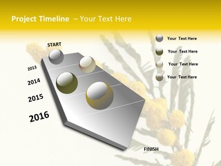 Yellow Mimosa Flowers On White PowerPoint Template