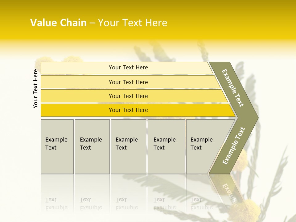 Yellow Mimosa Flowers On White PowerPoint Template