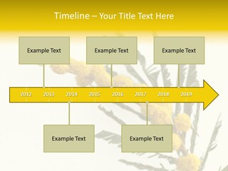 Yellow Mimosa Flowers On White PowerPoint Template