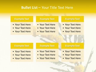 Yellow Mimosa Flowers On White PowerPoint Template