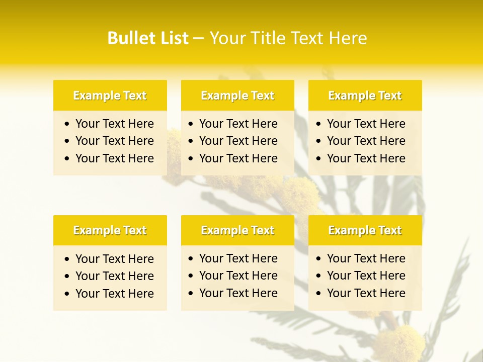 Yellow Mimosa Flowers On White PowerPoint Template