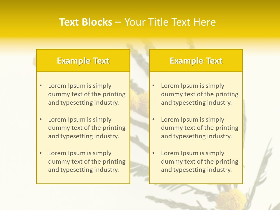 Yellow Mimosa Flowers On White PowerPoint Template