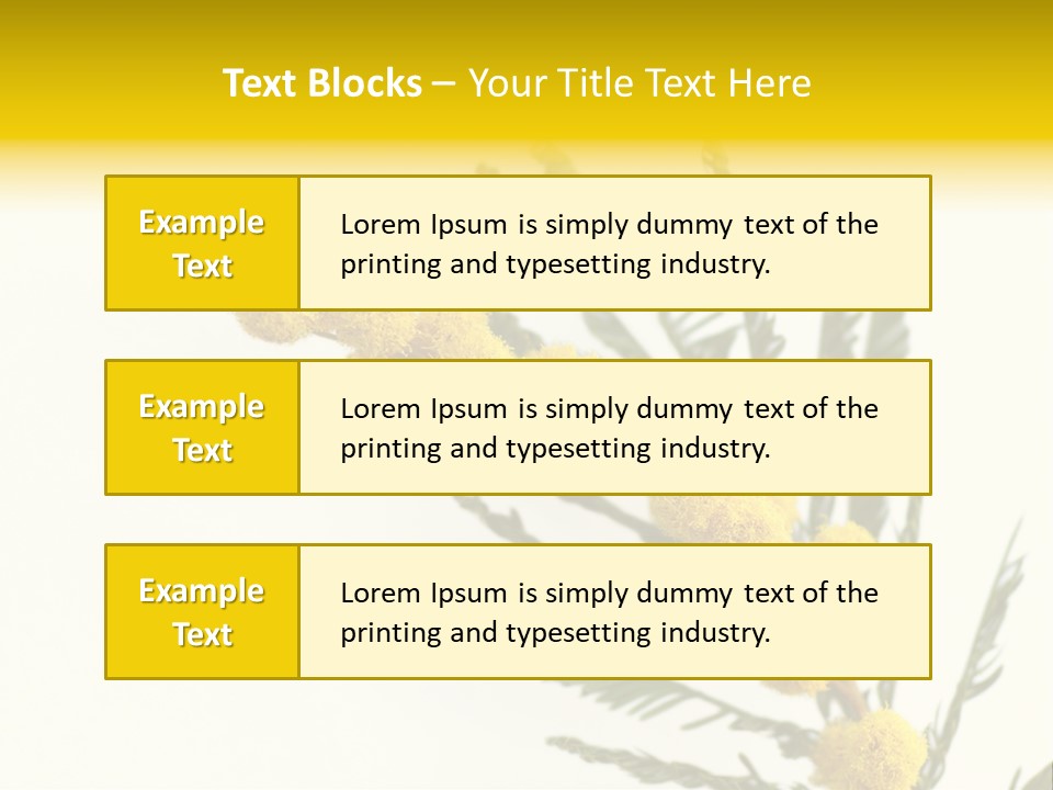 Yellow Mimosa Flowers On White PowerPoint Template