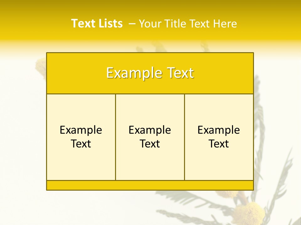 Yellow Mimosa Flowers On White PowerPoint Template