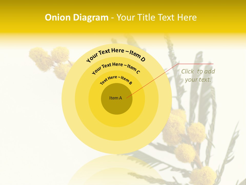 Yellow Mimosa Flowers On White PowerPoint Template