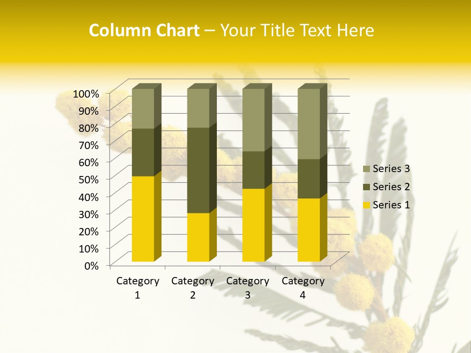 Yellow Mimosa Flowers On White PowerPoint Template