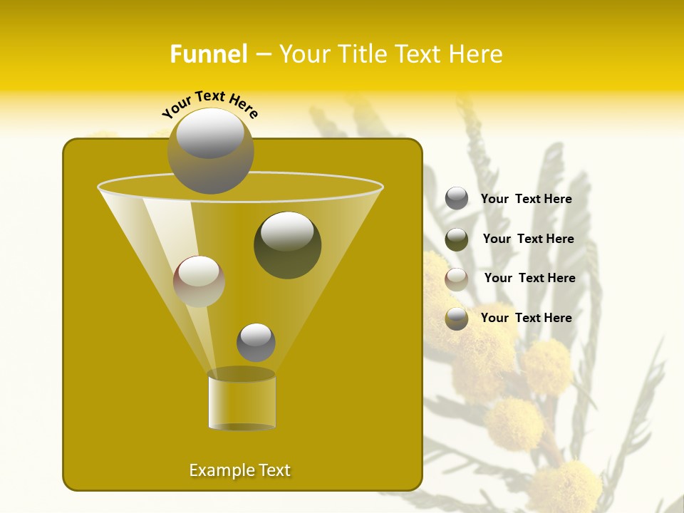 Yellow Mimosa Flowers On White PowerPoint Template