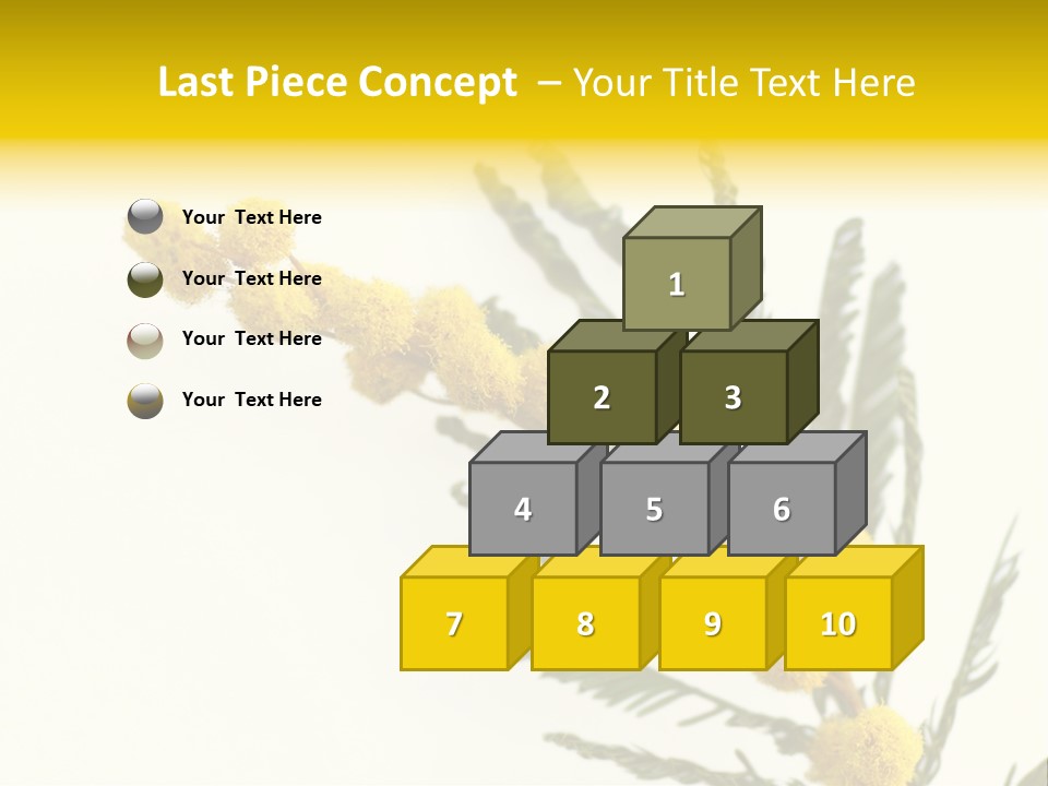 Yellow Mimosa Flowers On White PowerPoint Template