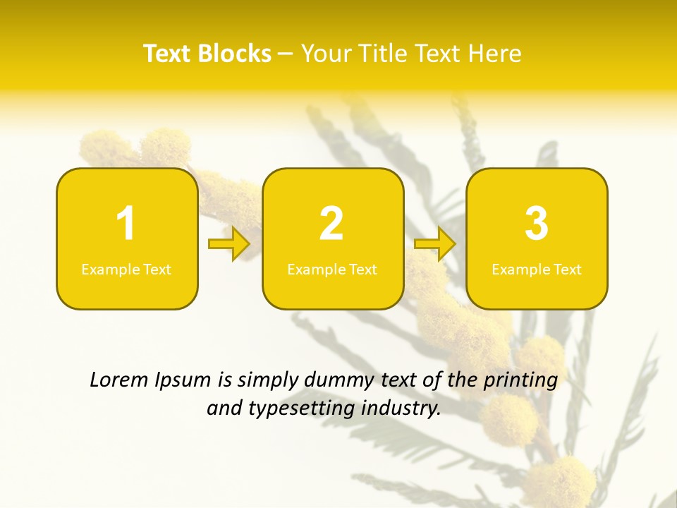 Yellow Mimosa Flowers On White PowerPoint Template