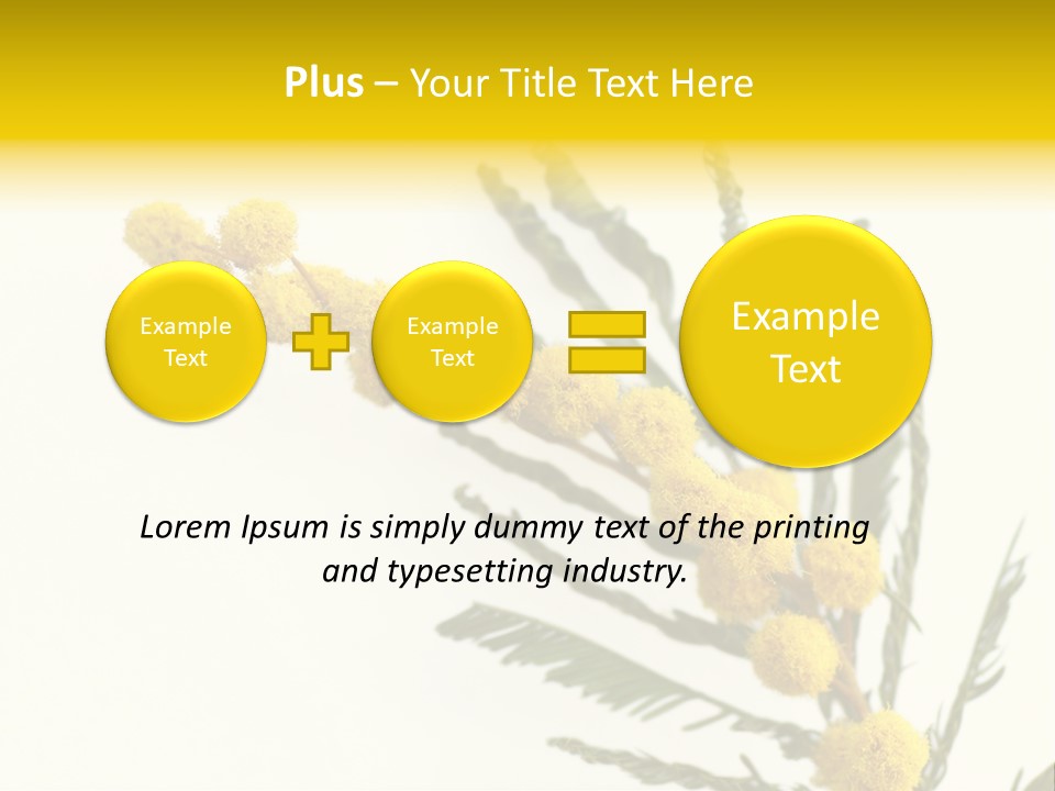 Yellow Mimosa Flowers On White PowerPoint Template
