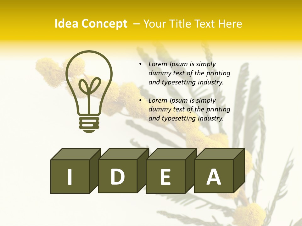 Yellow Mimosa Flowers On White PowerPoint Template