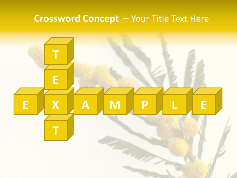 Yellow Mimosa Flowers On White PowerPoint Template