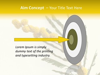 Yellow Mimosa Flowers On White PowerPoint Template