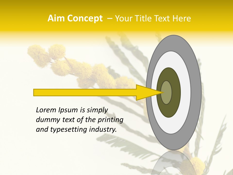 Yellow Mimosa Flowers On White PowerPoint Template