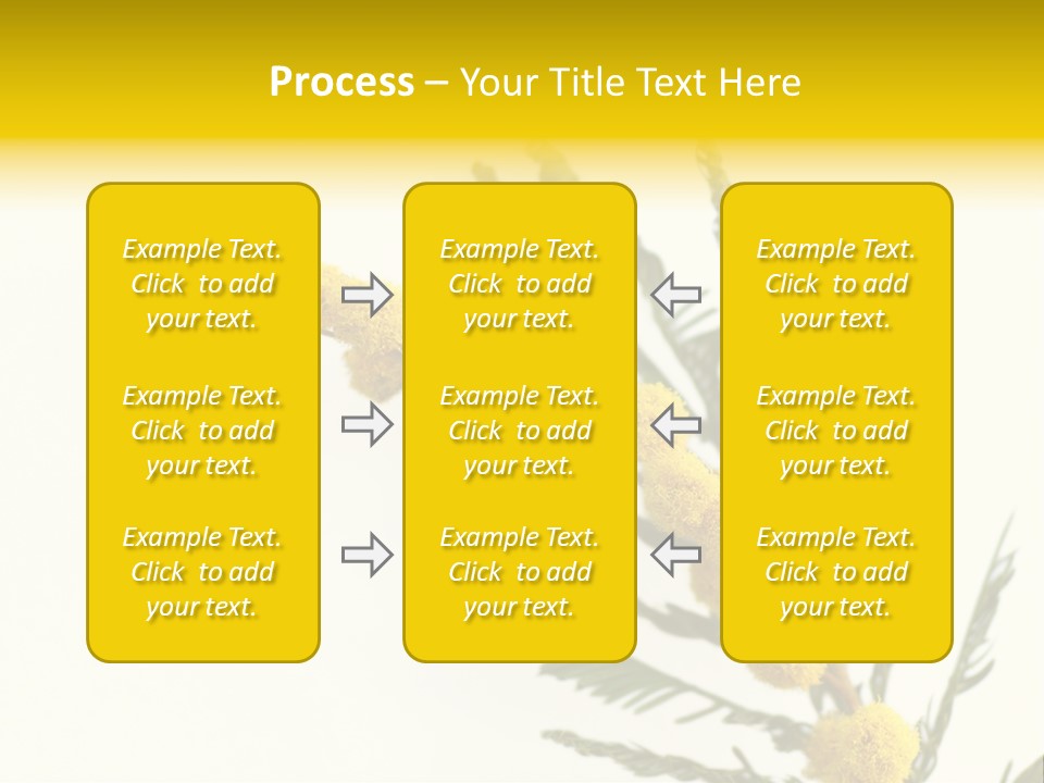 Yellow Mimosa Flowers On White PowerPoint Template