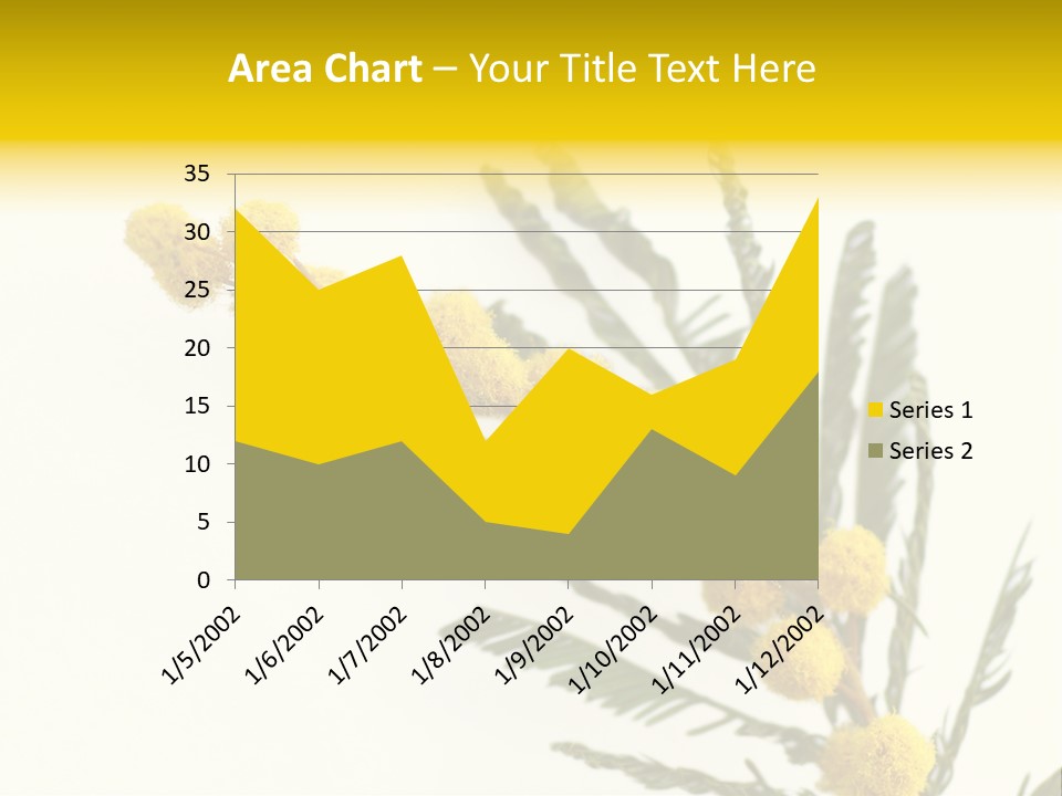 Yellow Mimosa Flowers On White PowerPoint Template