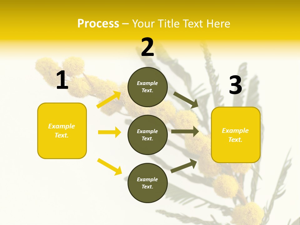 Yellow Mimosa Flowers On White PowerPoint Template