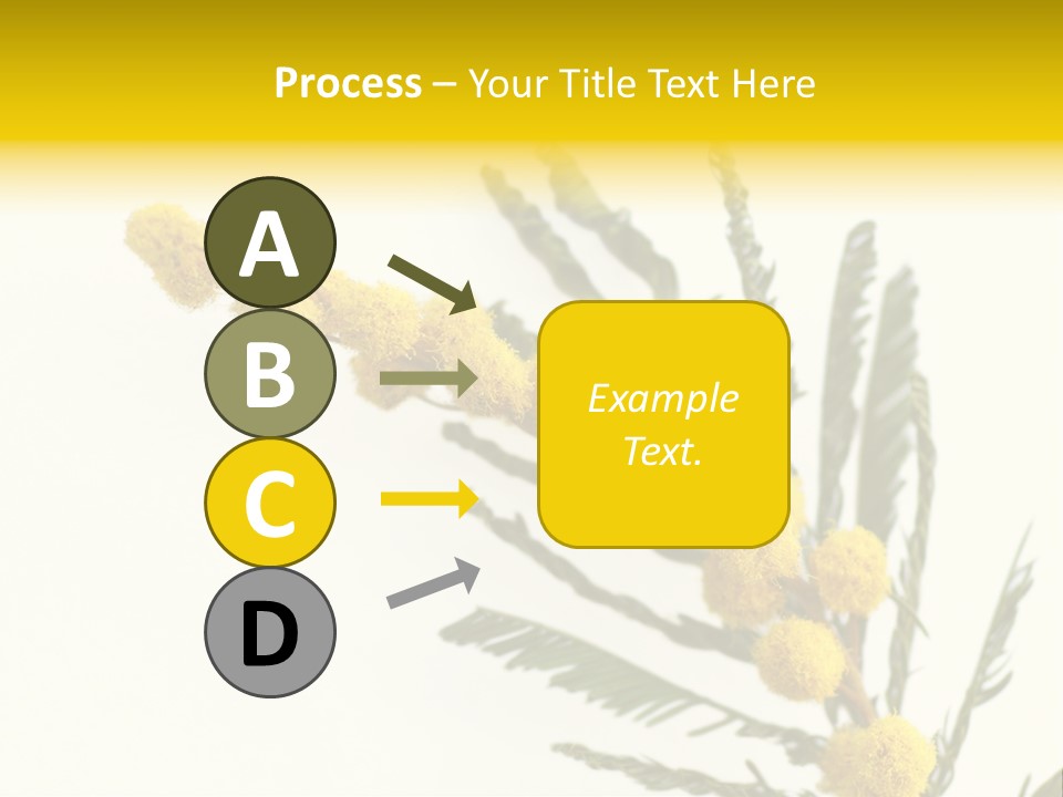Yellow Mimosa Flowers On White PowerPoint Template