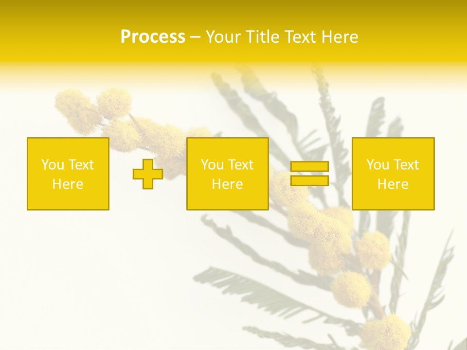 Yellow Mimosa Flowers On White PowerPoint Template