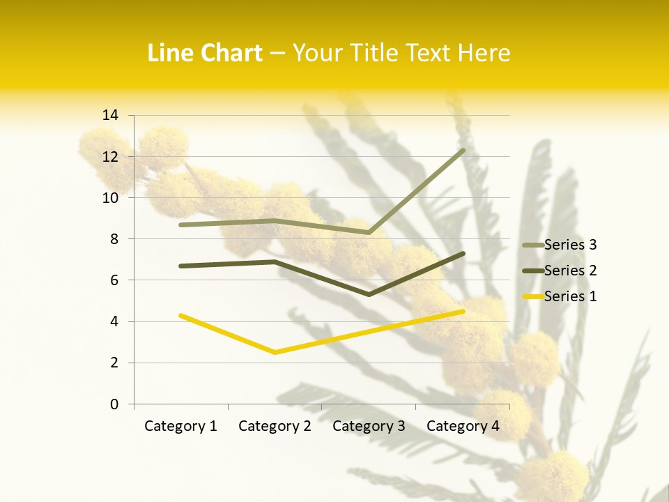 Yellow Mimosa Flowers On White PowerPoint Template