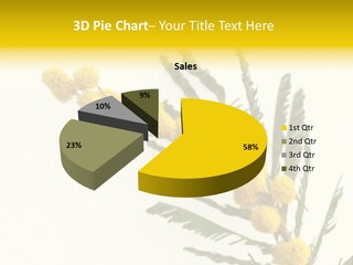 Yellow Mimosa Flowers On White PowerPoint Template