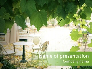 Summer Street Cafe With Grape Leaves Frame PowerPoint Template