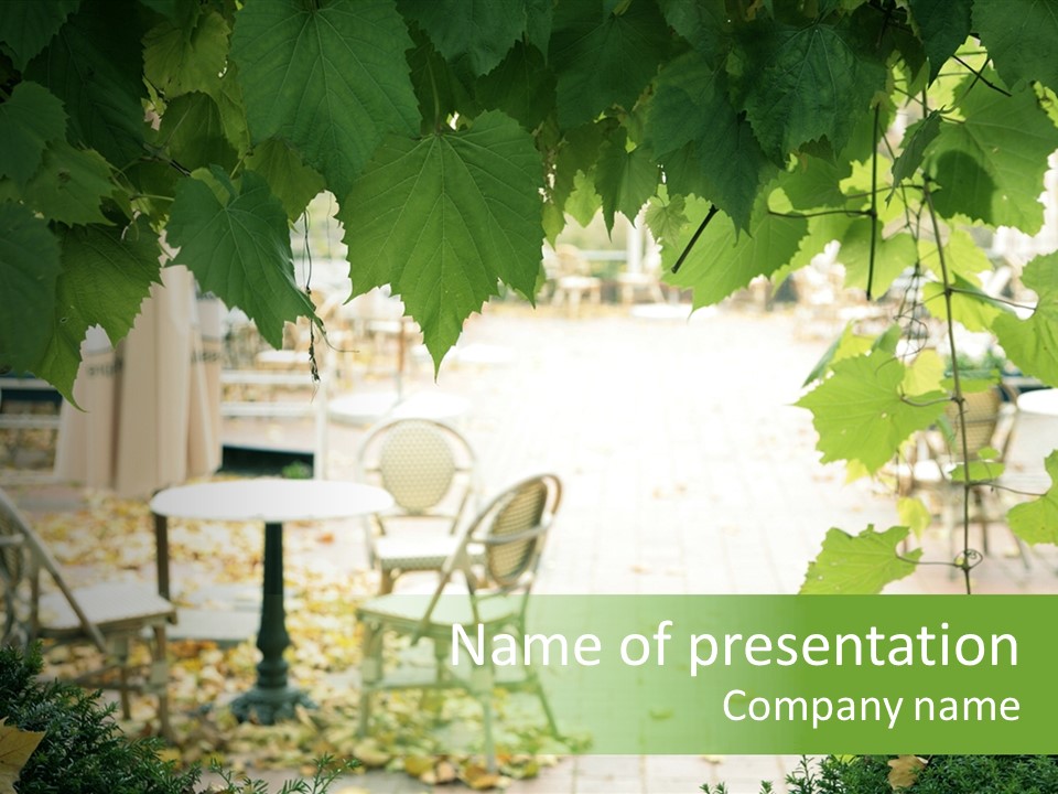 Summer Street Cafe With Grape Leaves Frame PowerPoint Template
