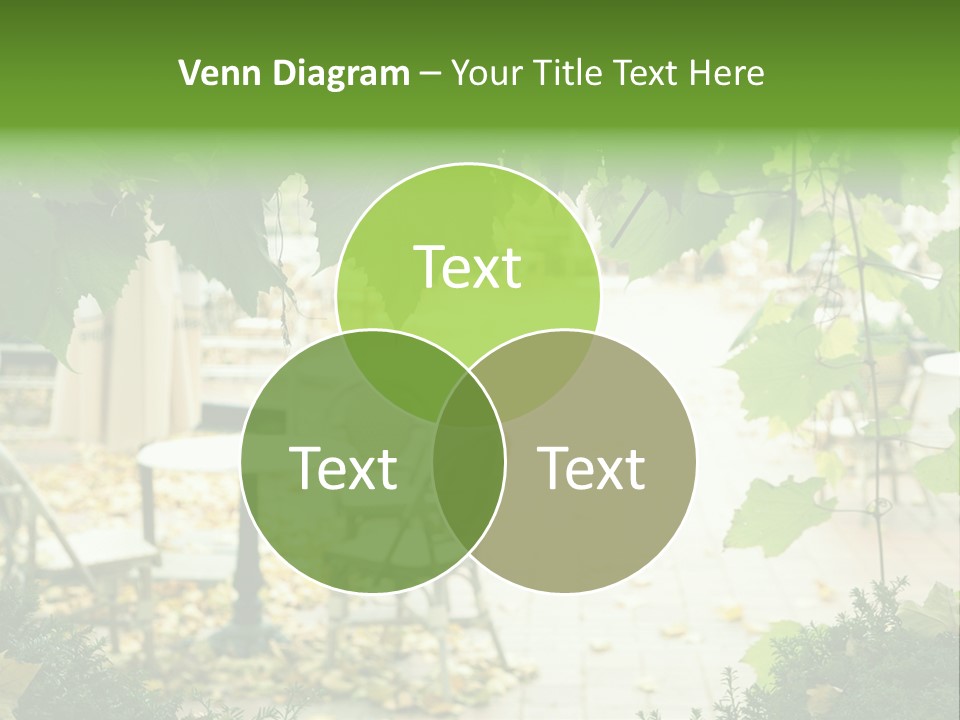 Summer Street Cafe With Grape Leaves Frame PowerPoint Template