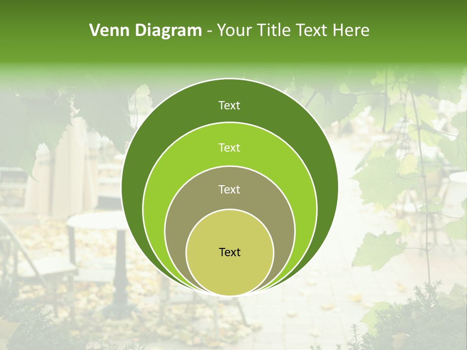 Summer Street Cafe With Grape Leaves Frame PowerPoint Template
