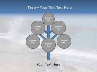 Picture Of A Caribbean Beach With A Turquoise Sea Where A Wave Is Hitting A Rock. Taken In Playa Rincon, Samana, Dominican Republic. PowerPoint Template