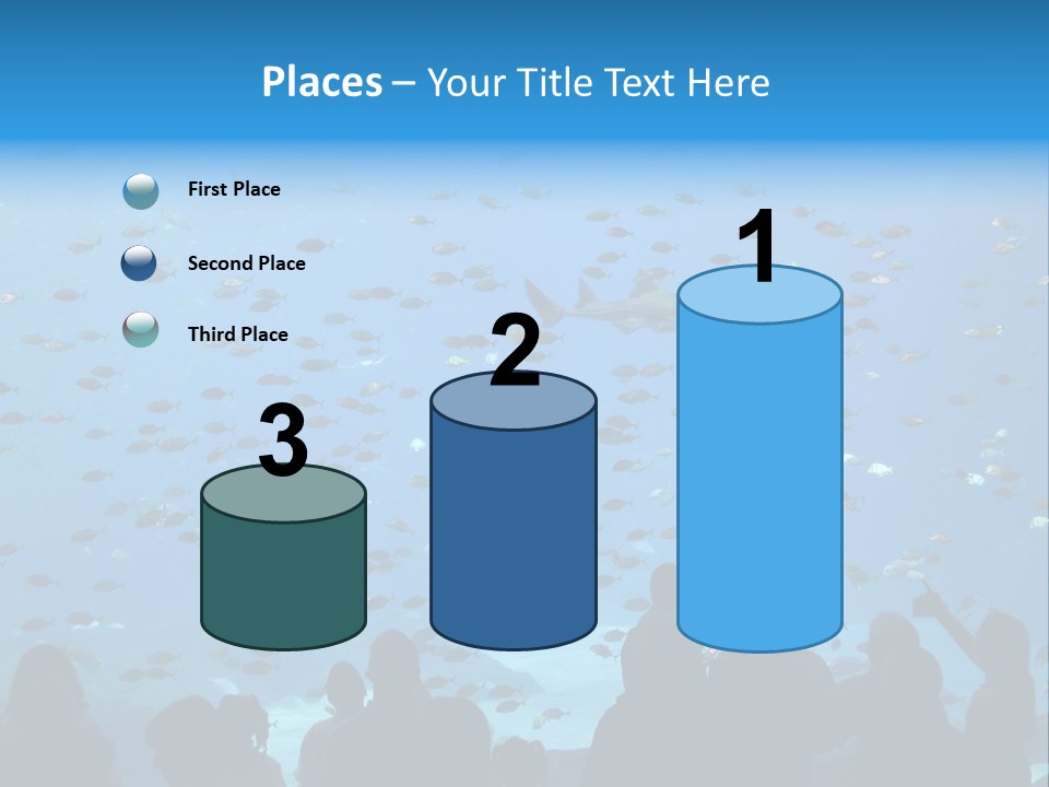 A Large Group Of People Looking At A Shark In An Aquarium PowerPoint Template