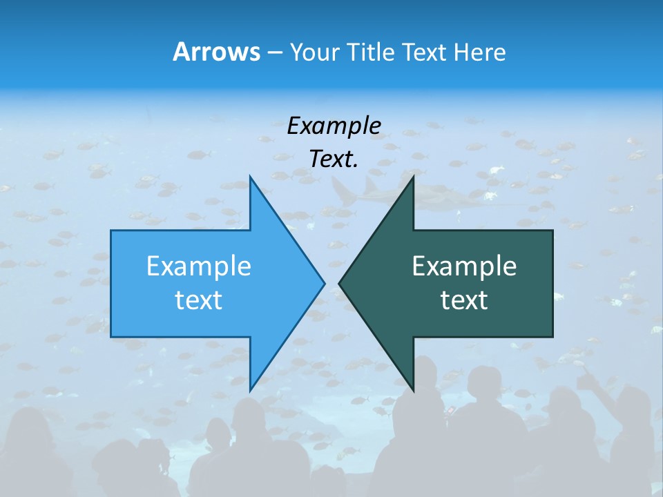 A Large Group Of People Looking At A Shark In An Aquarium PowerPoint Template