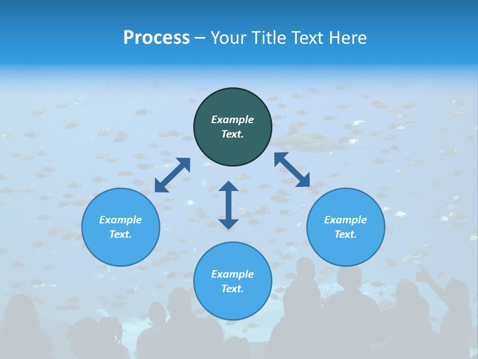 A Large Group Of People Looking At A Shark In An Aquarium PowerPoint Template