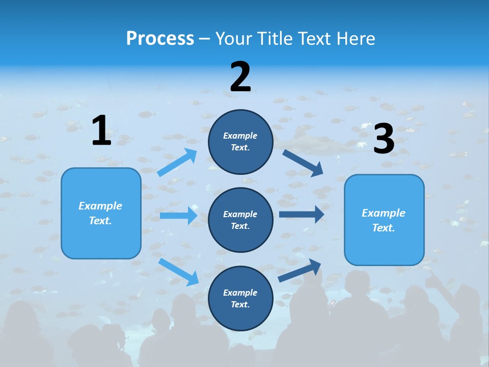 A Large Group Of People Looking At A Shark In An Aquarium PowerPoint Template