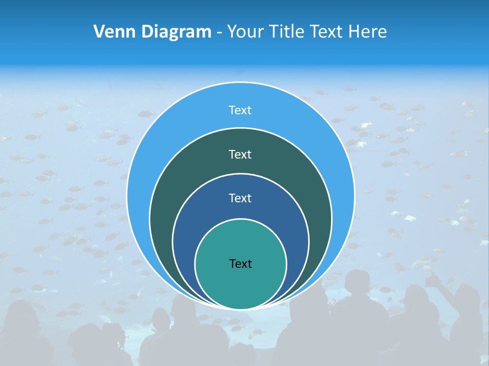 A Large Group Of People Looking At A Shark In An Aquarium PowerPoint Template