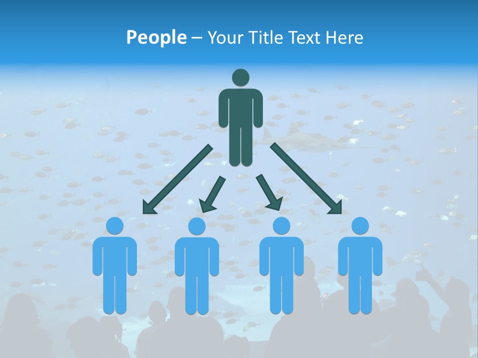 A Large Group Of People Looking At A Shark In An Aquarium PowerPoint Template