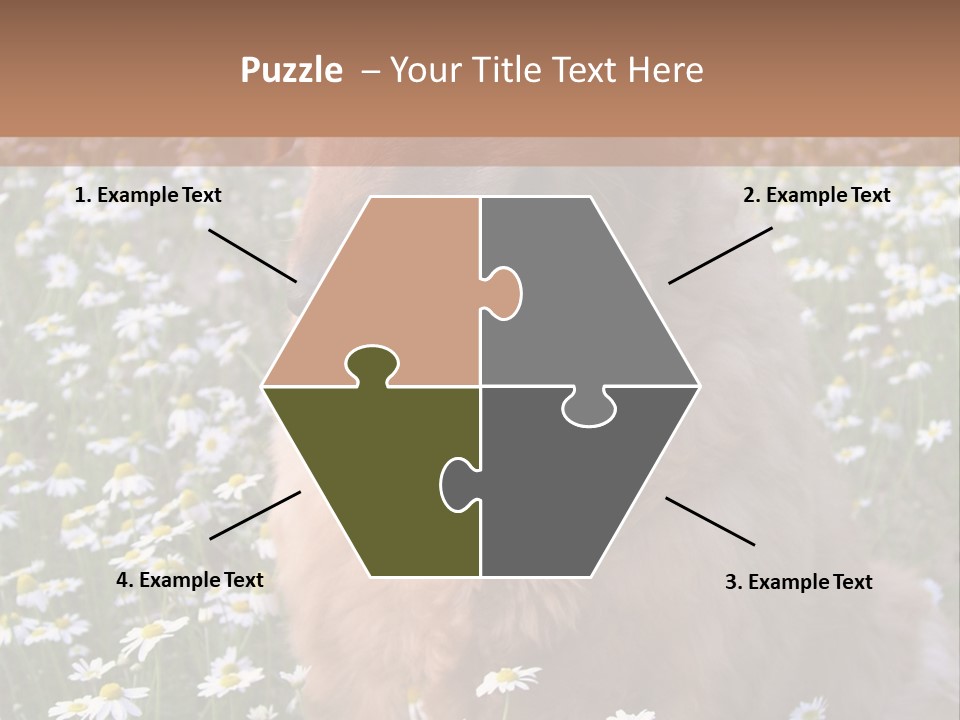 Golden Retriever Sitting In Field Of Daisies PowerPoint Template