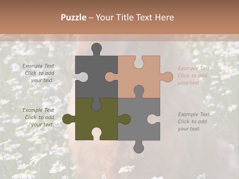 Golden Retriever Sitting In Field Of Daisies PowerPoint Template