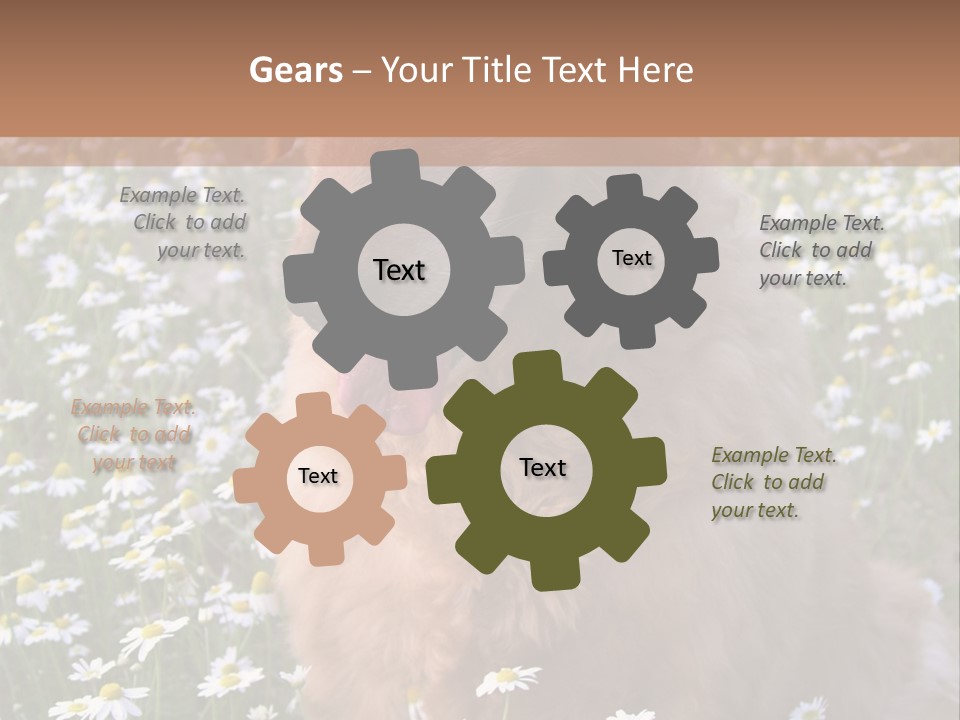 Golden Retriever Sitting In Field Of Daisies PowerPoint Template