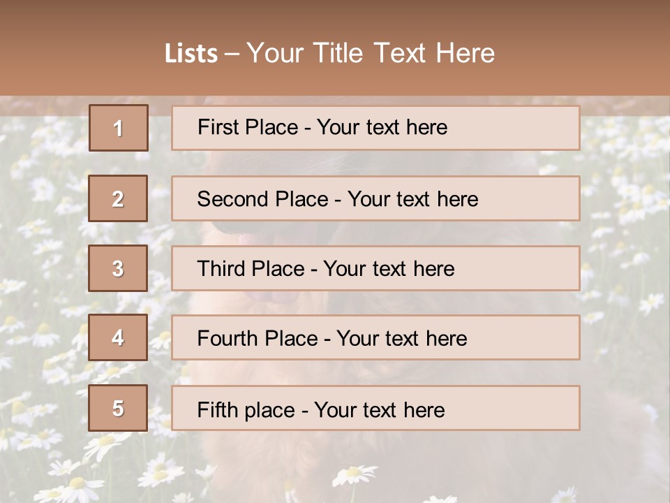 Golden Retriever Sitting In Field Of Daisies PowerPoint Template