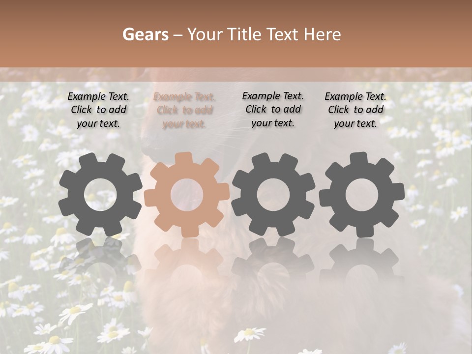 Golden Retriever Sitting In Field Of Daisies PowerPoint Template